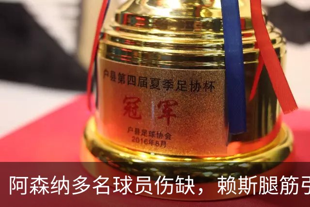 阿森纳多名球员伤缺，赖斯腿筋引担忧，有意追逐布莱顿锋线小将